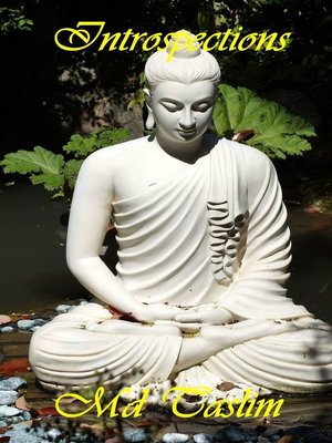 cover image of Introspections